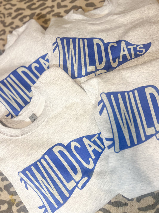 Wildcats pennant